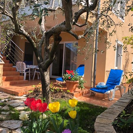 Villa Alexandra 4 Pjescana Uvala Εξωτερικό φωτογραφία