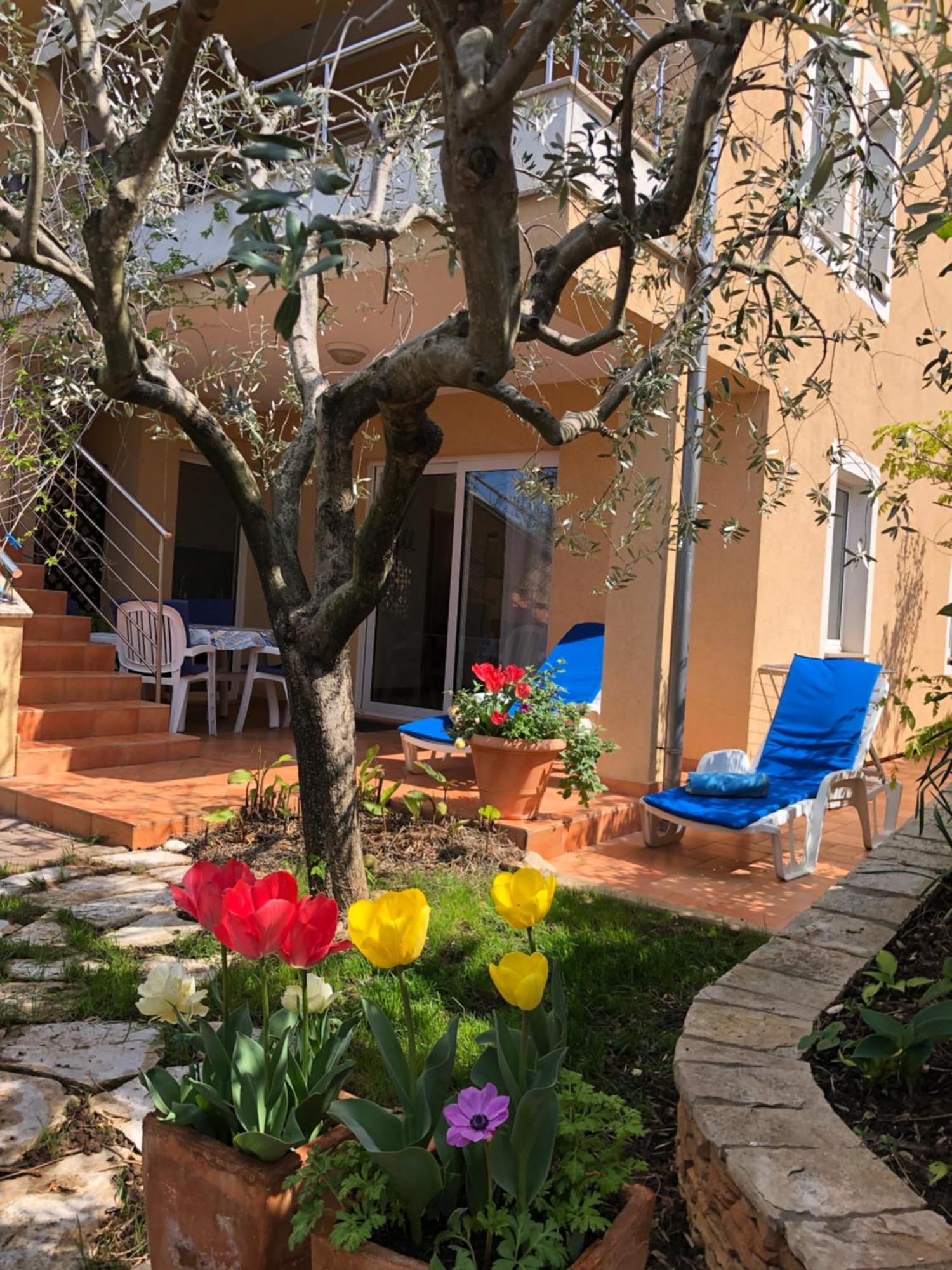 Villa Alexandra 4 Pjescana Uvala Εξωτερικό φωτογραφία