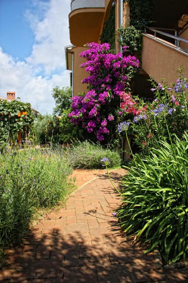 Villa Alexandra 4 Pjescana Uvala Εξωτερικό φωτογραφία